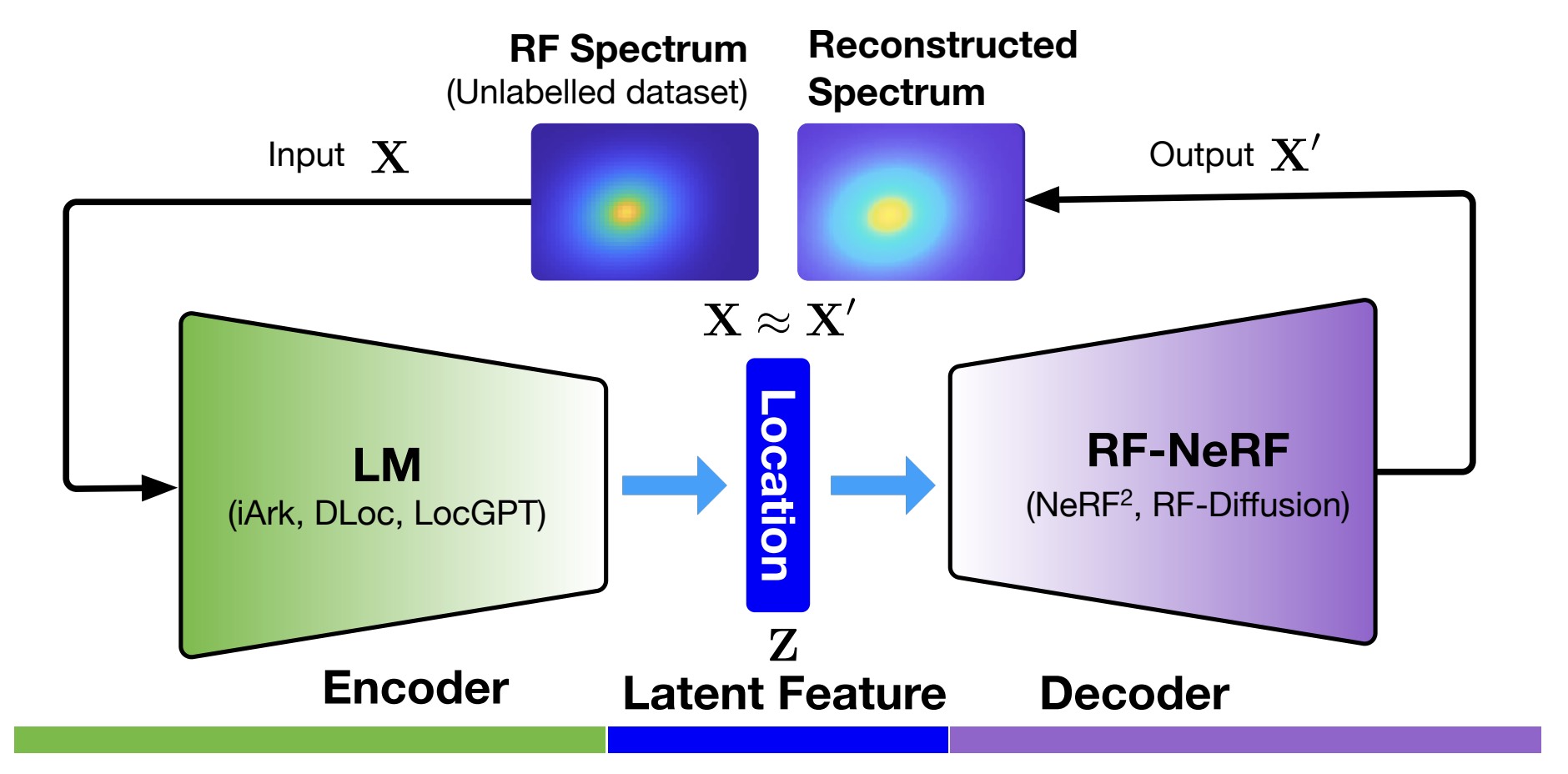 Radiance-Field Reinforced Pretraining: Scaling Localization Models with Unlabeled Wireless Signals
